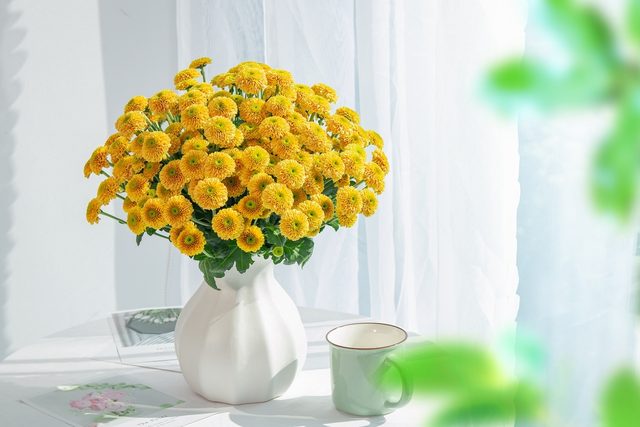 Beautiful,Chrysanth,Santini,Doria,Orange,Flowers,In,A,White,Ceramic