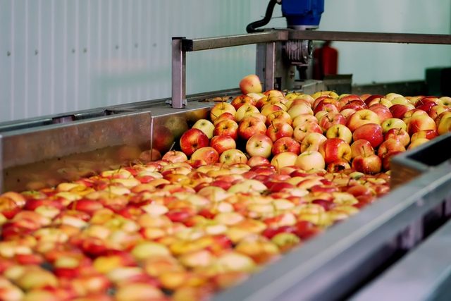 Fresh,Picked,Apple,Harvest.,The,Process,Of,Washing,Apples,In