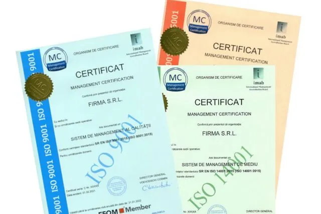Cerintele de mediu venite de la clienti